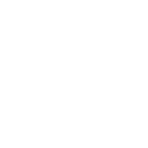 BUTCHER BABIES LOGO