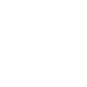 Breed77 White Logo